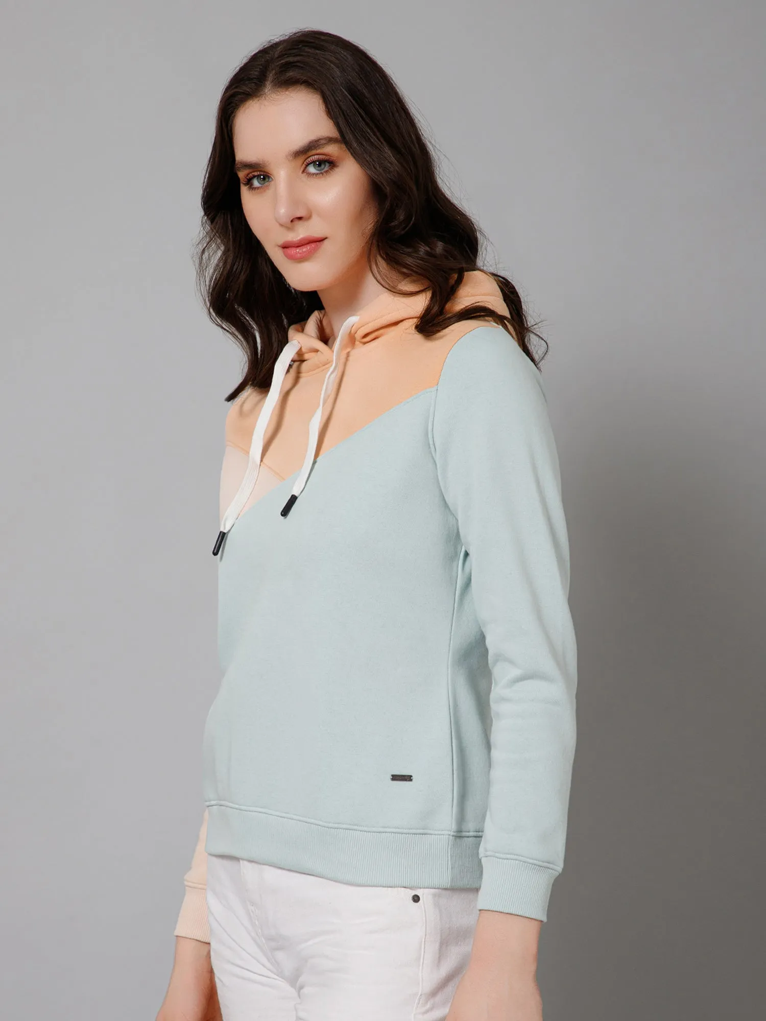 Cantabil Color-Block Mint Full Sleeves Regular Fit Casual Sweatshirt with Hoodie For Women